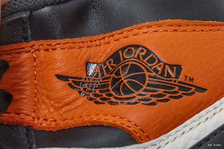 Shattered OG Jordan 1 555088-005 Retro Air Backboard 0319